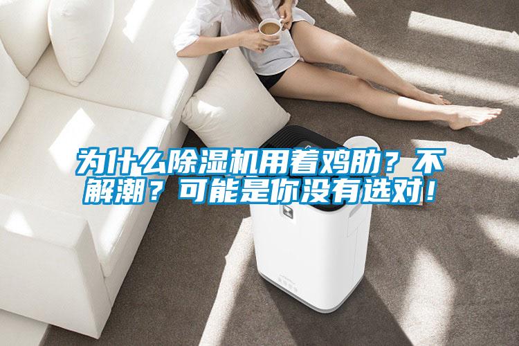 為什麽麻豆视频免费看用著雞肋？不解潮？可能是你沒有選對！
