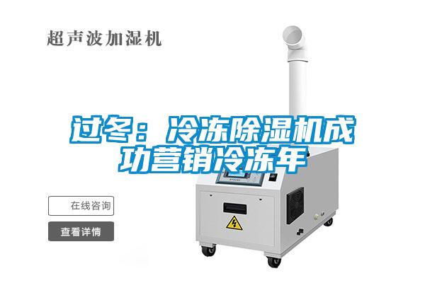 過冬：冷凍麻豆视频免费看成功營銷冷凍年