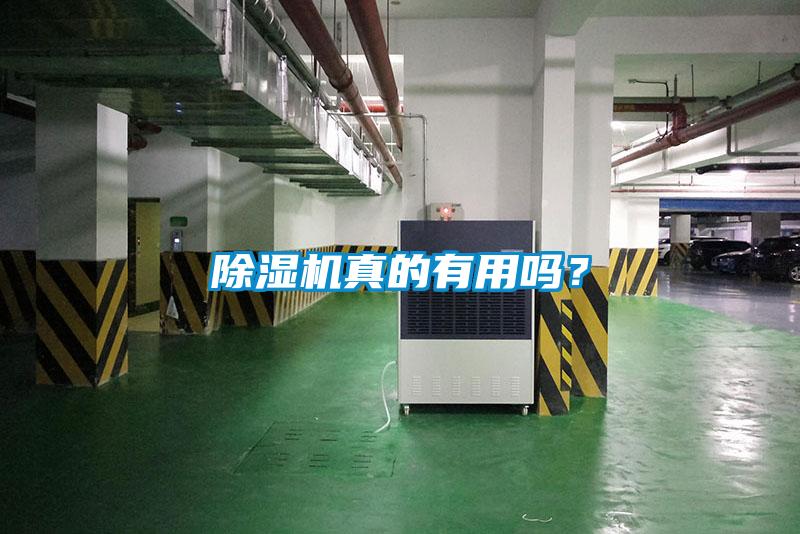 麻豆视频免费看真的有用嗎？