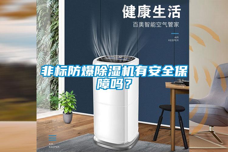 非標防爆麻豆视频免费看有安全保障嗎？