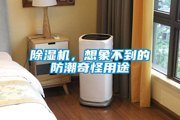 麻豆视频免费看，想象不到的防潮奇怪用途