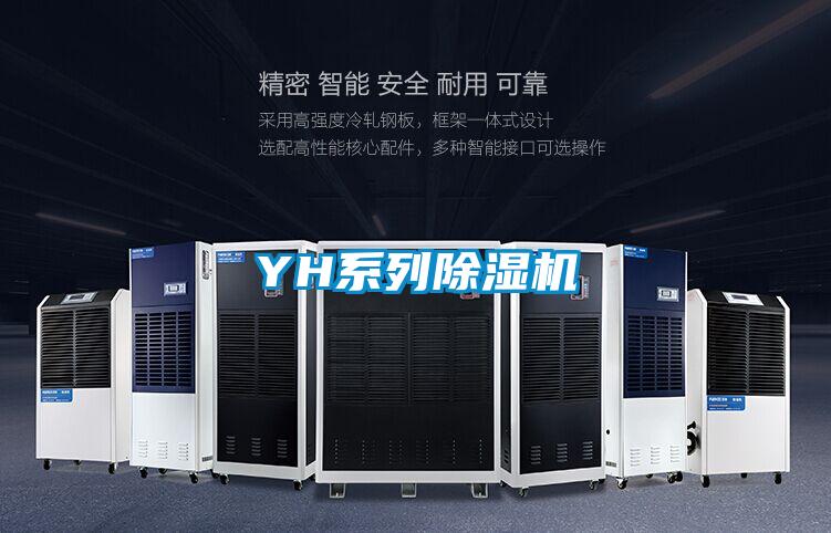 YH係列麻豆视频免费看