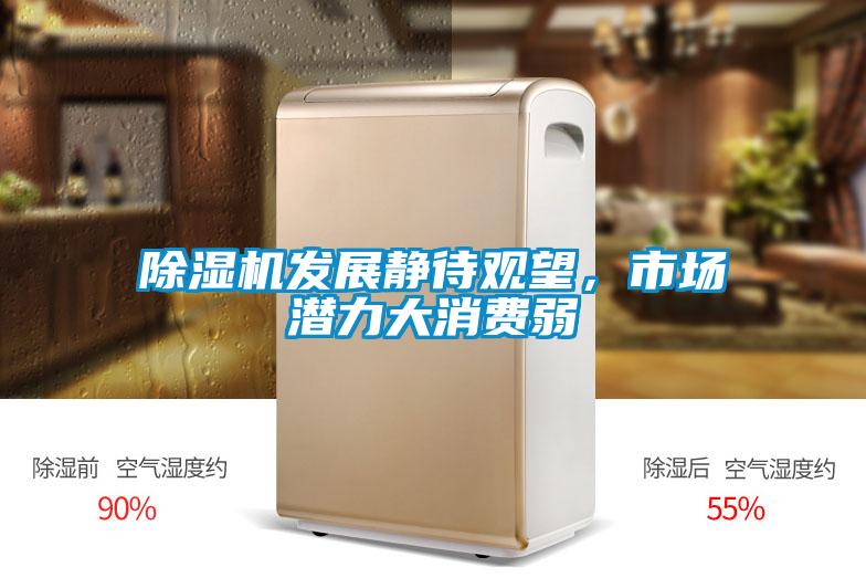 麻豆视频免费看發展靜待觀望，市場潛力大消費弱