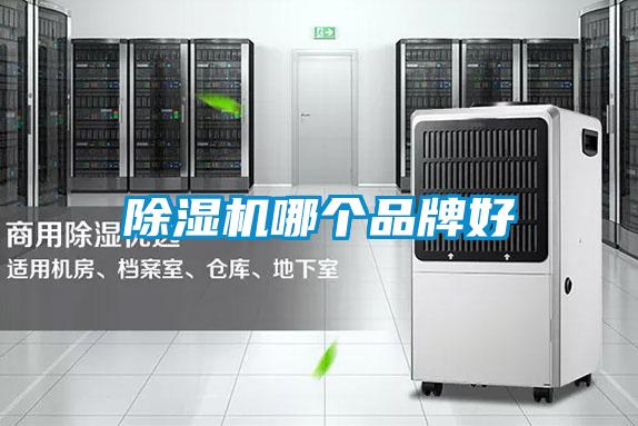 麻豆视频免费看哪個品牌好