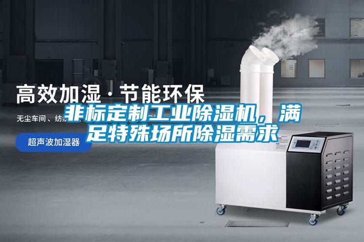 非標定製工業麻豆视频免费看，滿足特殊場所除濕需求