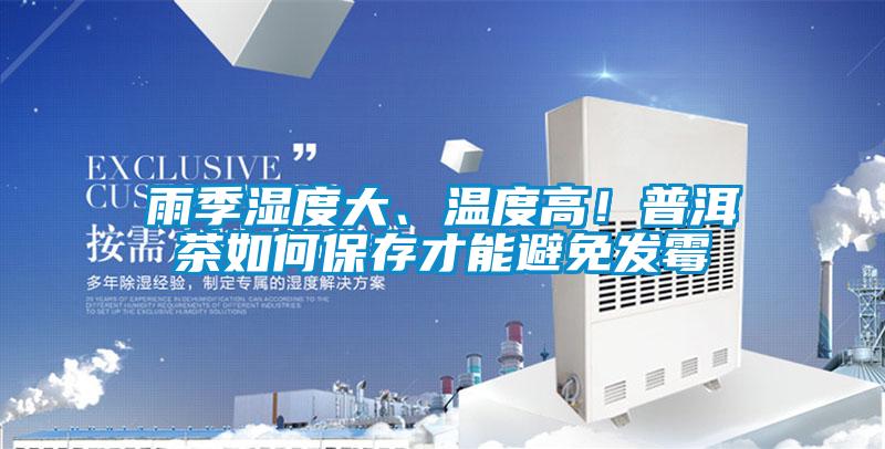 雨季濕度大、溫度高！普洱茶如何保存才能避免發黴