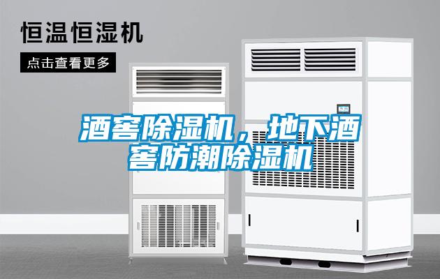 酒窖麻豆视频免费看，地下酒窖防潮麻豆视频免费看