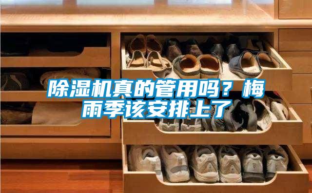 麻豆视频免费看真的管用嗎？梅雨季該安排上了