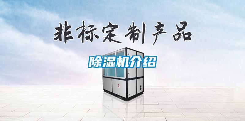 麻豆视频免费看介紹
