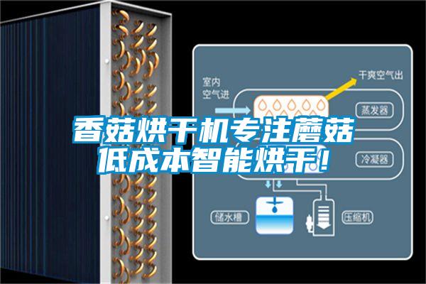 香菇烘幹機專注蘑菇低成本智能烘幹！