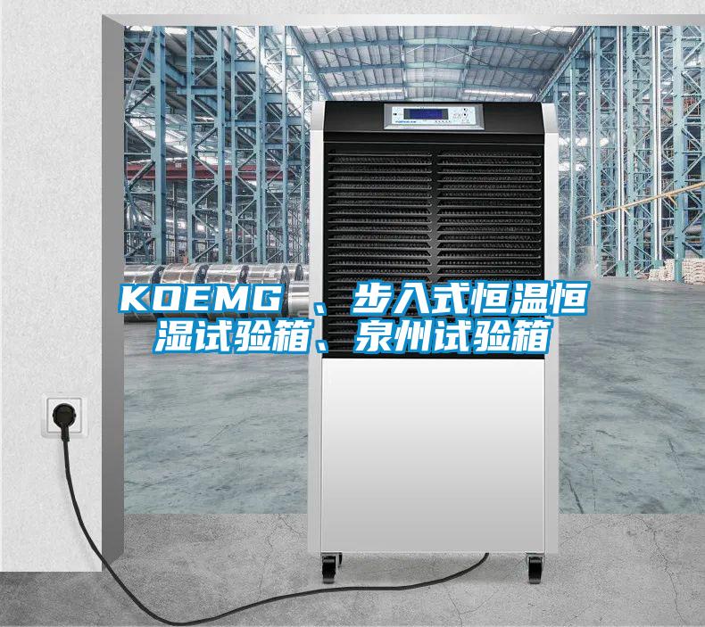 KOEMG 、步入式恒溫恒濕試驗箱、泉州試驗箱