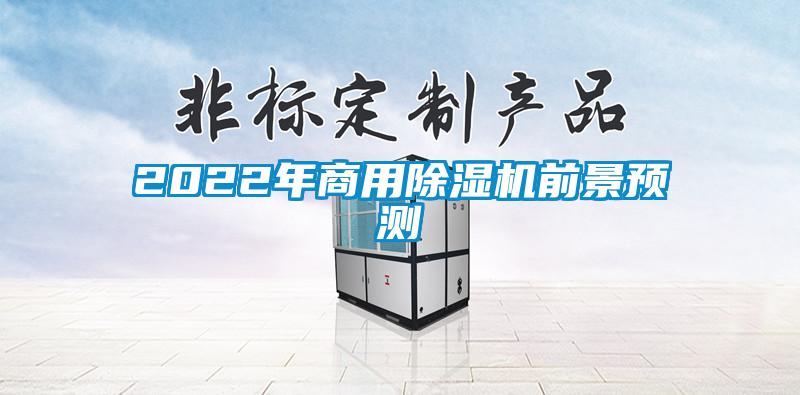 2022年商用麻豆视频免费看前景預測