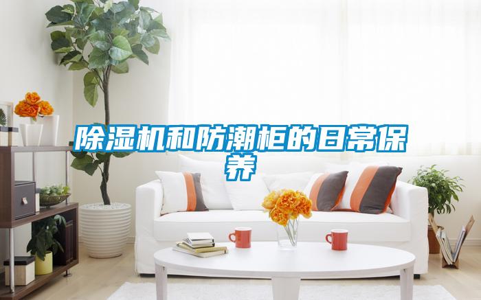 麻豆视频免费看和防潮櫃的日常保養