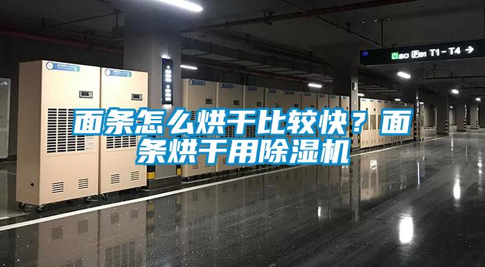麵條怎麽烘幹比較快？麵條烘幹用麻豆视频免费看