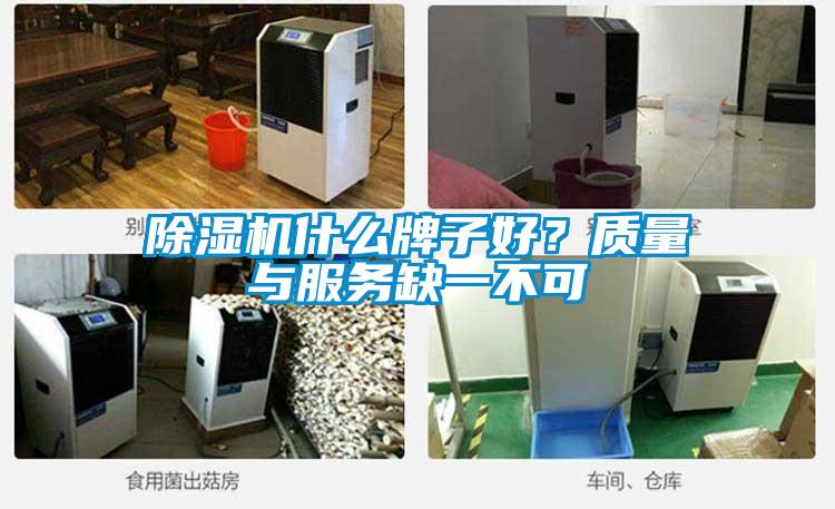 麻豆视频免费看什麽牌子好？質量與服務缺一不可