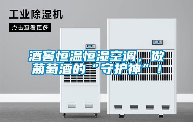 酒窖恒溫恒濕空調，做葡萄酒的“守護神”！