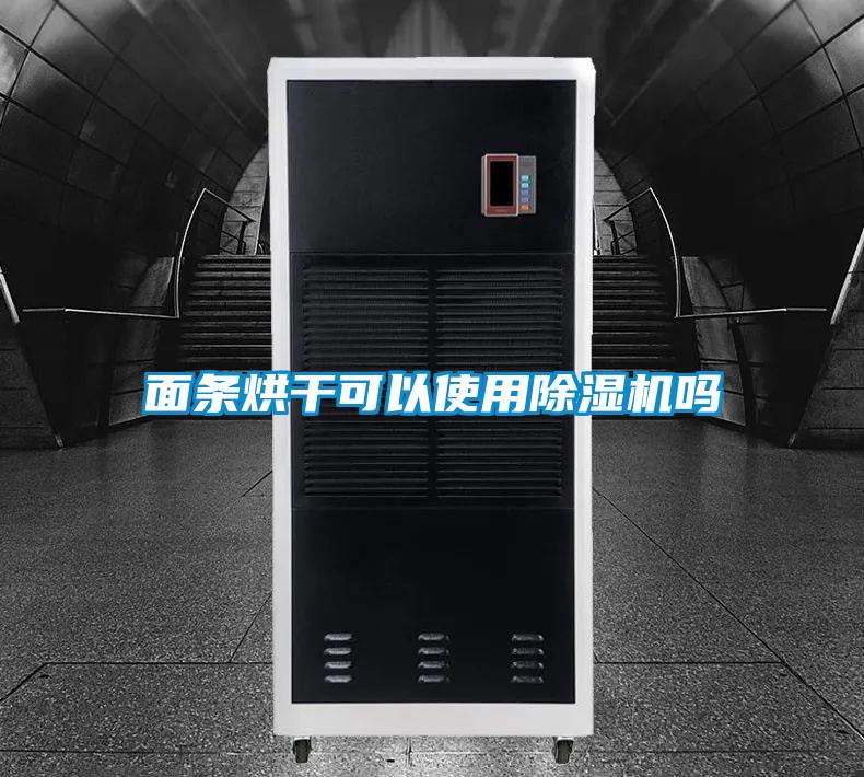 麵條烘幹可以使用麻豆视频免费看嗎