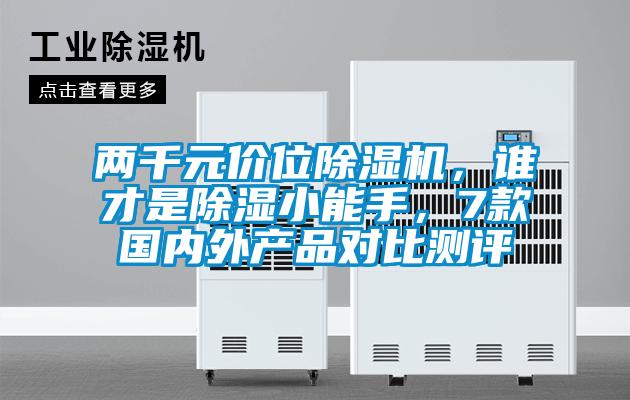 兩千元價位麻豆视频免费看，誰才是除濕小能手，7款國內外產品對比測評