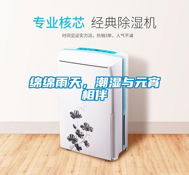 綿綿雨天，潮濕與元宵相伴