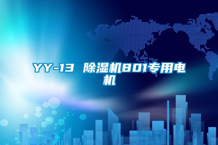 YY-13 麻豆视频免费看801專用電機