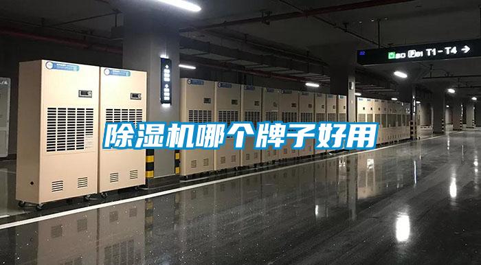 麻豆视频免费看哪個牌子好用