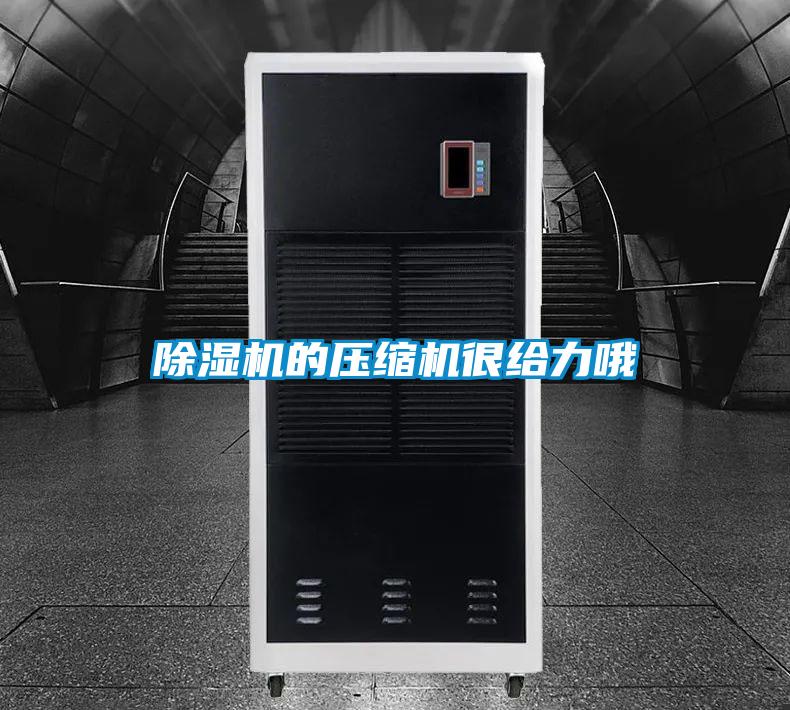 麻豆视频免费看的壓縮機很給力哦