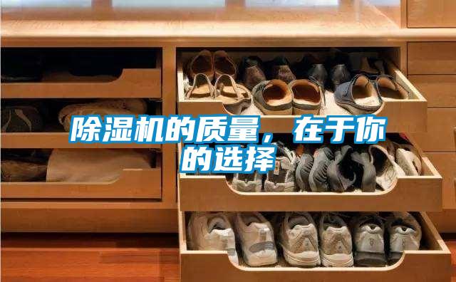 麻豆视频免费看的質量，在於你的選擇