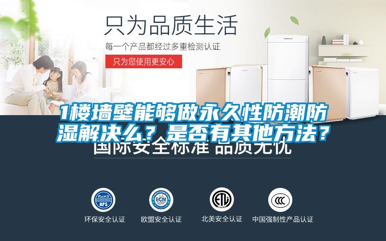 1樓牆壁能夠做永久性防潮防濕解決麽？是否有其他方法？