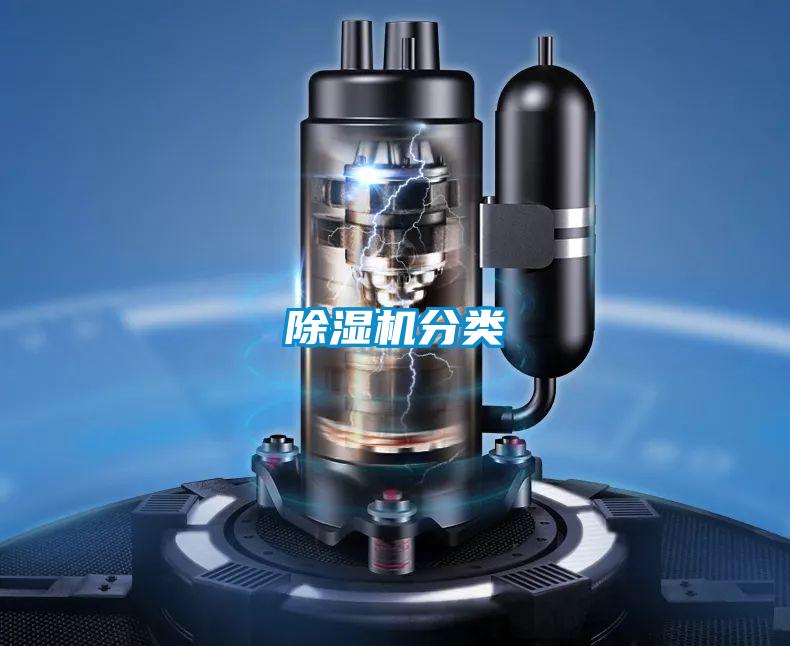 麻豆视频免费看分類