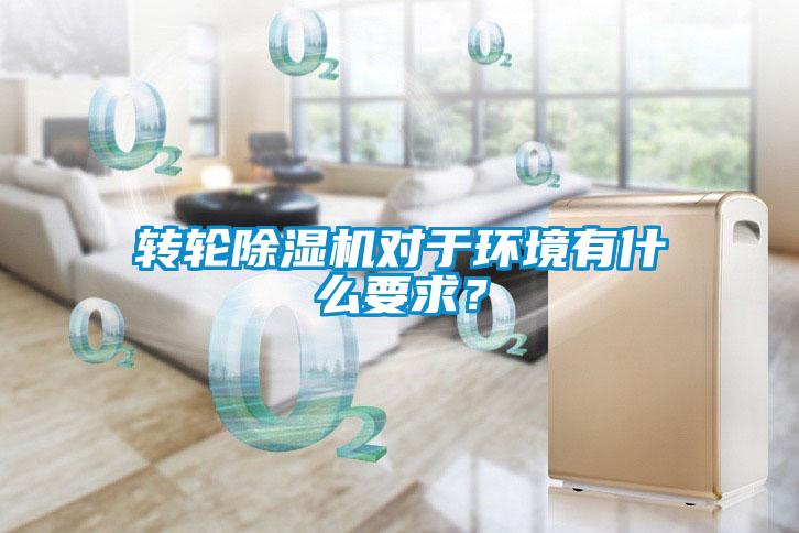 轉輪麻豆视频免费看對於環境有什麽要求？