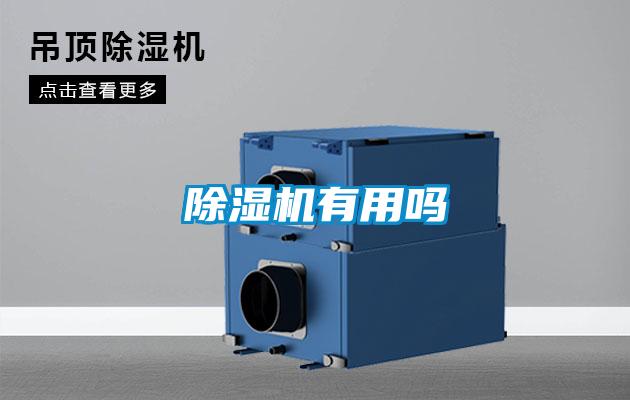 麻豆视频免费看有用嗎