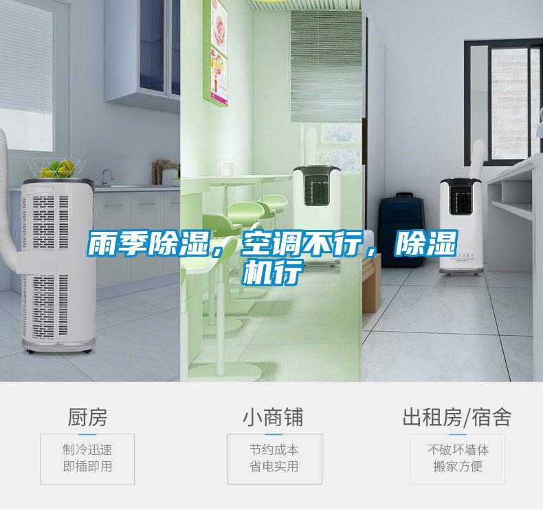 雨季除濕，空調不行，麻豆视频免费看行