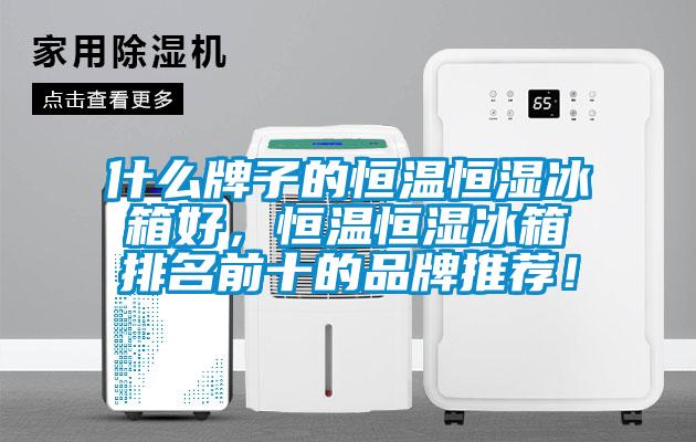 什麽牌子的恒溫恒濕冰箱好，恒溫恒濕冰箱排名前十的品牌推薦！