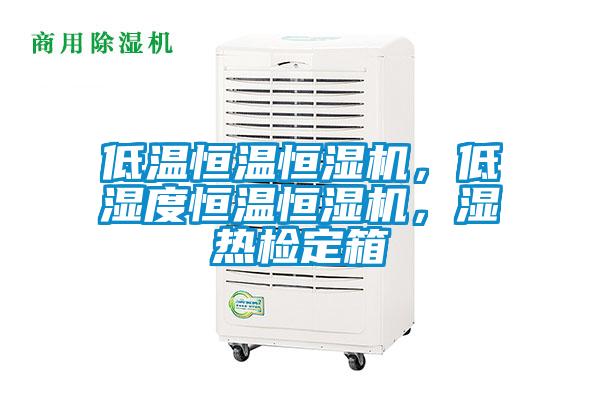 低溫恒溫恒濕機，低濕度恒溫恒濕機，濕熱檢定箱