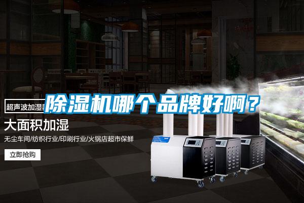 麻豆视频免费看哪個品牌好啊?