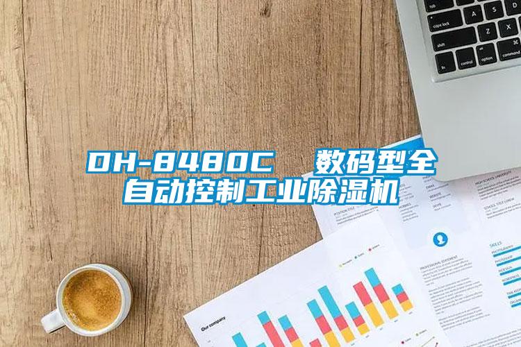 DH-8480C  數碼型全自動控製工業麻豆视频免费看