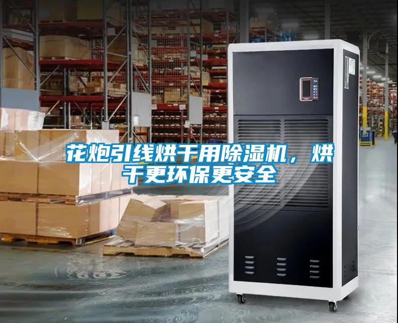 花炮引線烘幹用麻豆视频免费看，烘幹更環保更安全