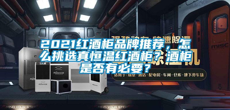 2021紅酒櫃品牌推薦，怎麽挑選真恒溫紅酒櫃？酒櫃是否有必要？