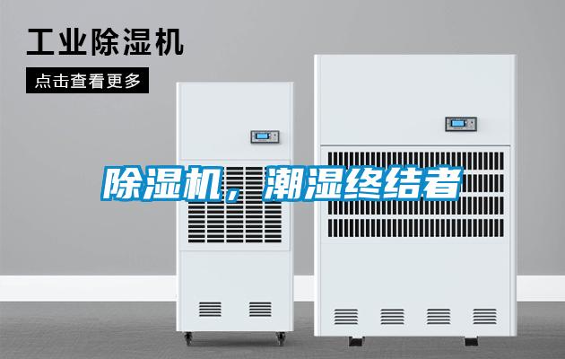 麻豆视频免费看，潮濕終結者