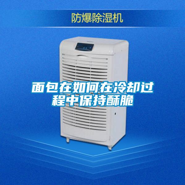麵包在如何在冷卻過程中保持酥脆