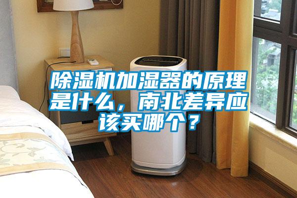 麻豆视频免费看加濕器的原理是什麽，南北差異應該買哪個？