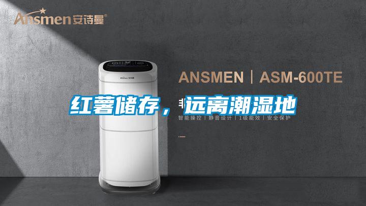 紅薯儲存，遠離潮濕地