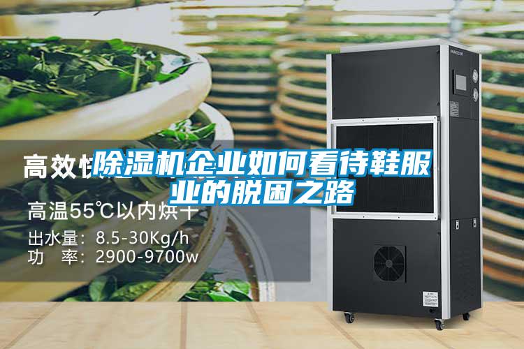 麻豆视频免费看企業如何看待鞋服業的脫困之路