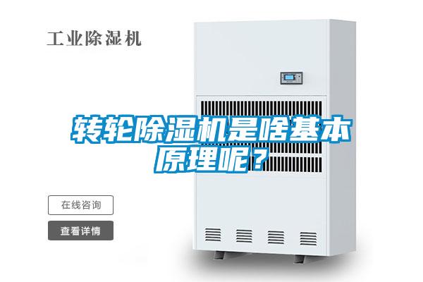 轉輪麻豆视频免费看是啥基本原理呢？