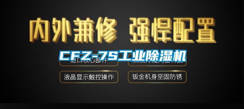 CFZ-7S工業麻豆视频免费看