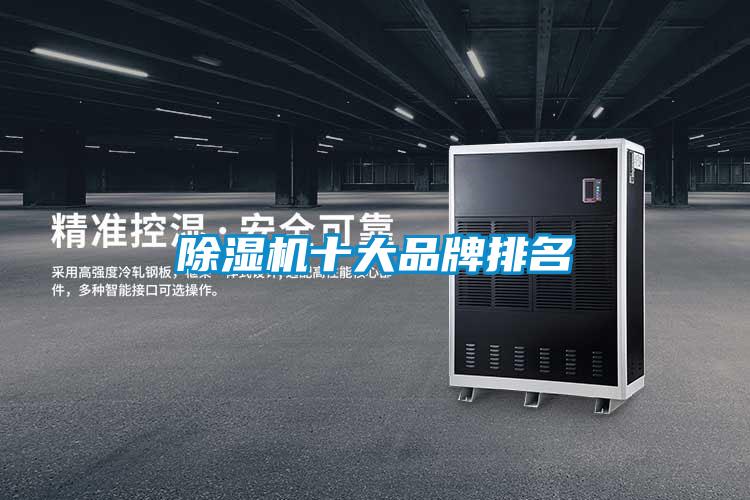 麻豆视频免费看十大品牌排名