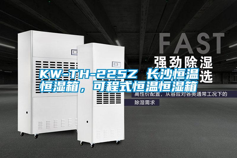 KW-TH-225Z 長沙恒溫恒濕箱，可程式恒溫恒濕箱