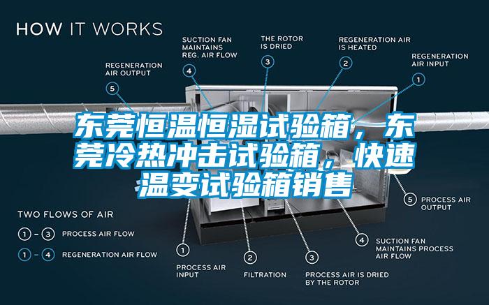 東莞恒溫恒濕試驗箱，東莞冷熱衝擊試驗箱，快速溫變試驗箱銷售
