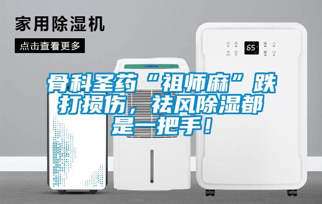 骨科聖藥“祖師麻”跌打損傷，祛風除濕都是一把手！