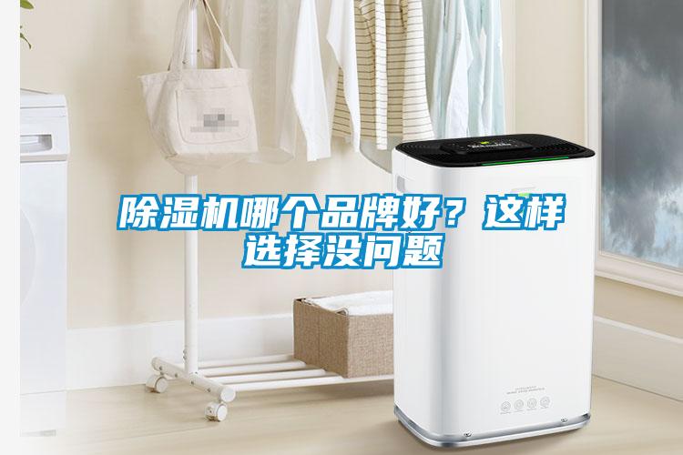 麻豆视频免费看哪個品牌好？這樣選擇沒問題